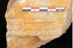 Foto (Detailansicht) von Trigonocarpus sp.  (NHMW-GEO-2024-0188-11160)